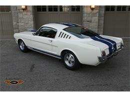 1965 Ford Shelby GT350 (CC-2075377) for sale in Halton Hills, Ontario