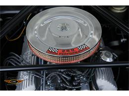 1965 Ford Shelby GT350 (CC-2075377) for sale in Halton Hills, Ontario