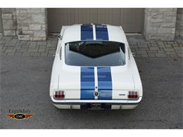 1965 Ford Shelby GT350 (CC-2075377) for sale in Halton Hills, Ontario