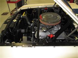 1965 Ford Shelby GT350 (CC-2075377) for sale in Halton Hills, Ontario
