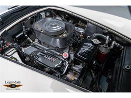 1965 Shelby Cobra (CC-2075388) for sale in Halton Hills, Ontario