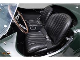 1965 Shelby Cobra (CC-2075389) for sale in Halton Hills, Ontario
