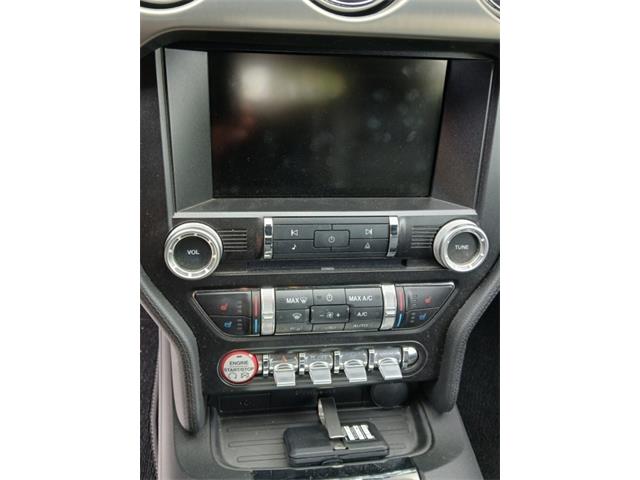 2015 Ford Mustang Shelby GT Convertible (CC-2070540) for sale in Houston, Missouri