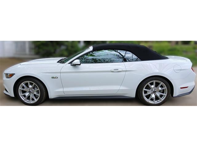2015 Ford Mustang Shelby GT Convertible (CC-2070540) for sale in Houston, Missouri
