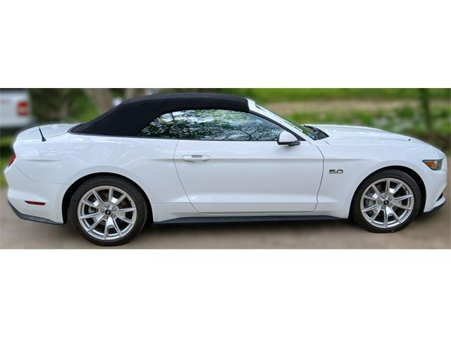 2015 Ford Mustang Shelby GT Convertible (CC-2070540) for sale in Houston, Missouri