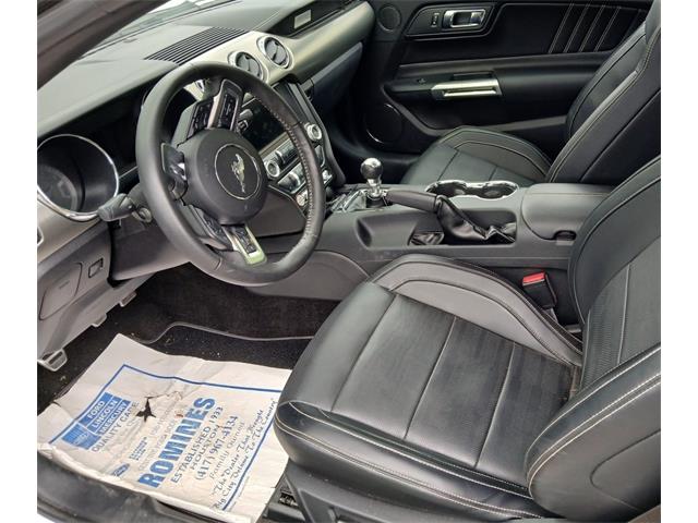 2015 Ford Mustang Shelby GT Convertible (CC-2070540) for sale in Houston, Missouri