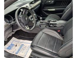 2015 Ford Mustang Shelby GT Convertible (CC-2070540) for sale in Houston, Missouri