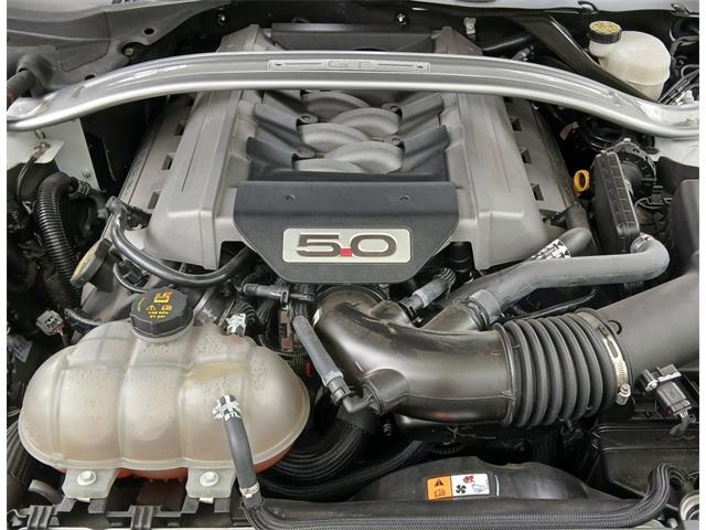 2015 Ford Mustang Shelby GT Convertible (CC-2070540) for sale in Houston, Missouri