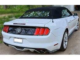 2015 Ford Mustang Shelby GT Convertible (CC-2070540) for sale in Houston, Missouri