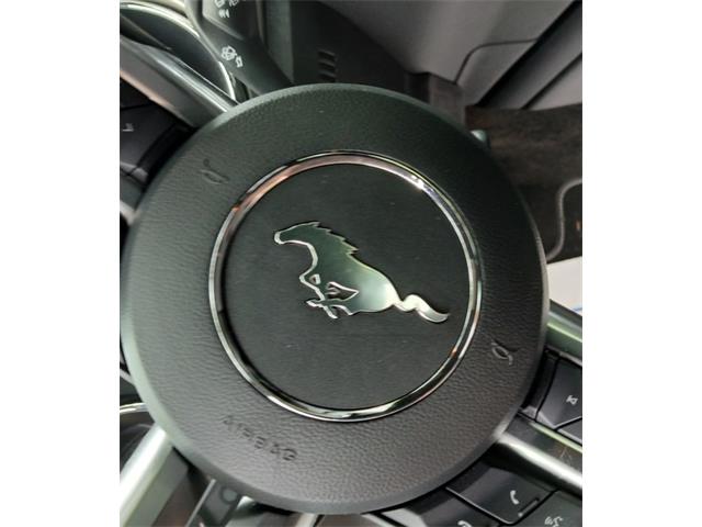 2015 Ford Mustang Shelby GT Convertible (CC-2070540) for sale in Houston, Missouri