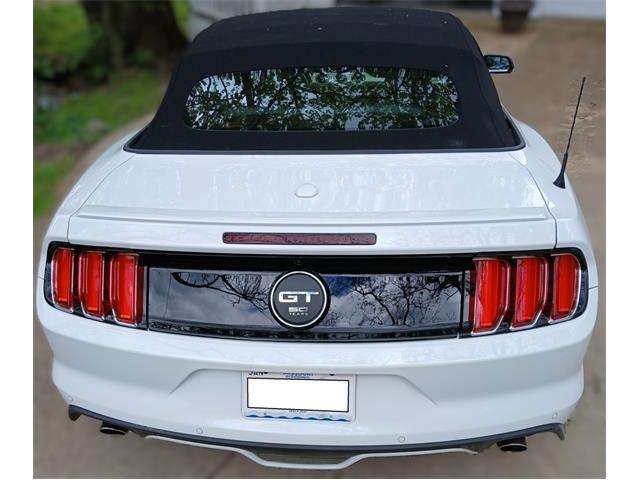 2015 Ford Mustang Shelby GT Convertible (CC-2070540) for sale in Houston, Missouri