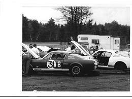1965 Shelby GT350 (CC-2075406) for sale in Halton Hills, Ontario