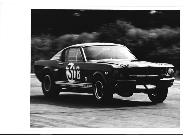 1965 Shelby GT350 (CC-2075406) for sale in Halton Hills, Ontario