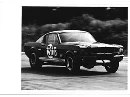 1965 Shelby GT350 (CC-2075406) for sale in Halton Hills, Ontario