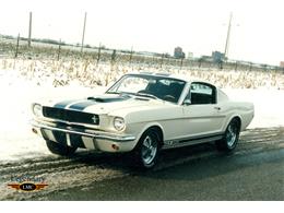 1965 Shelby GT350 (CC-2075414) for sale in Halton Hills, Ontario
