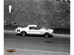 1965 Shelby GT350 (CC-2075415) for sale in Halton Hills, Ontario