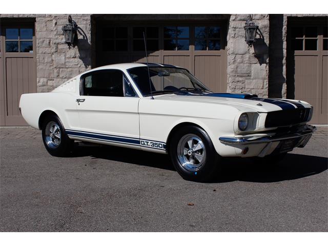 1965 Shelby GT350 (CC-2075426) for sale in Halton Hills, Ontario