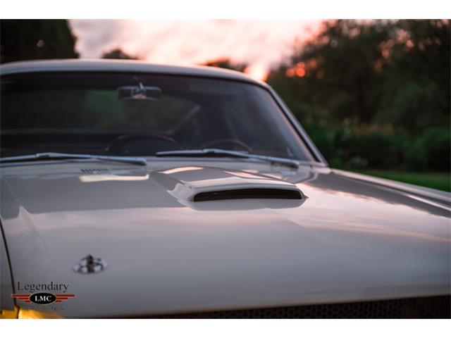 1965 Shelby GT350 (CC-2075433) for sale in Halton Hills, Ontario