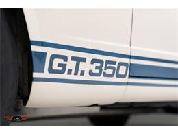 1965 Shelby GT350 (CC-2075440) for sale in Halton Hills, Ontario