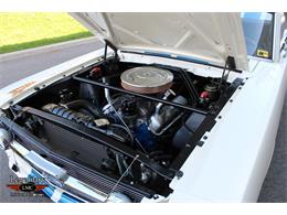 1966 Shelby Mustang (CC-2075448) for sale in Halton Hills, Ontario