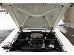 1966 Shelby Mustang (CC-2075448) for sale in Halton Hills, Ontario