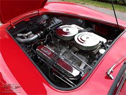 1966 Shelby Cobra (CC-2075450) for sale in Halton Hills, Ontario