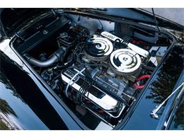 1966 Shelby Cobra (CC-2075464) for sale in Halton Hills, Ontario