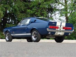 1967 Ford Shelby GT350 (CC-2075478) for sale in Halton Hills, Ontario