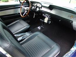 1967 Ford Shelby GT350 (CC-2075478) for sale in Halton Hills, Ontario