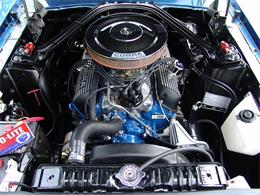 1967 Ford Shelby GT350 (CC-2075478) for sale in Halton Hills, Ontario