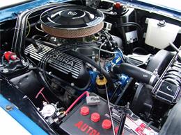 1967 Ford Shelby GT350 (CC-2075478) for sale in Halton Hills, Ontario