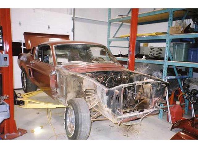 1967 Ford Shelby GT350 (CC-2075479) for sale in Halton Hills, Ontario