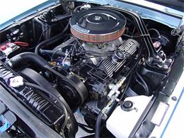 1967 Ford Shelby GT350 (CC-2075479) for sale in Halton Hills, Ontario