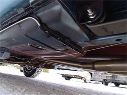 1967 Ford Shelby GT350 (CC-2075479) for sale in Halton Hills, Ontario