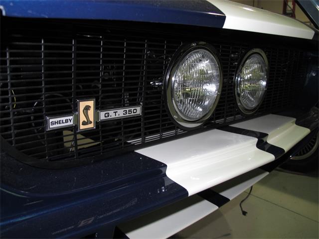 1967 Ford Shelby GT350 (CC-2075480) for sale in Halton Hills, Ontario