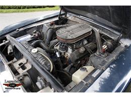 1967 Ford Shelby GT350 (CC-2075480) for sale in Halton Hills, Ontario