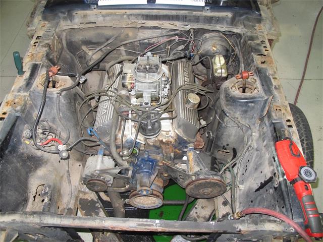 1967 Ford Shelby GT350 (CC-2075480) for sale in Halton Hills, Ontario