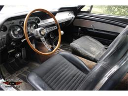 1967 Ford Shelby GT350 (CC-2075480) for sale in Halton Hills, Ontario