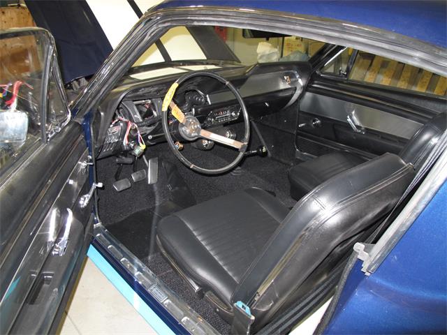 1967 Ford Shelby GT350 (CC-2075480) for sale in Halton Hills, Ontario