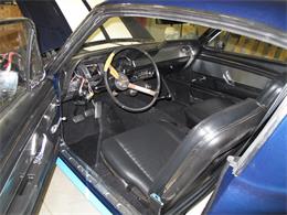 1967 Ford Shelby GT350 (CC-2075480) for sale in Halton Hills, Ontario