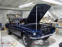 1967 Ford Mustang Shelby GT500 (CC-2075481) for sale in Halton Hills, Ontario
