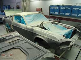 1967 Ford Mustang Shelby GT500 (CC-2075481) for sale in Halton Hills, Ontario