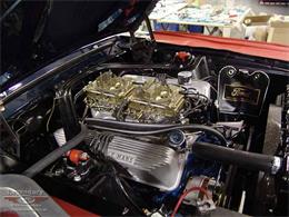 1967 Ford Mustang Shelby GT500 (CC-2075481) for sale in Halton Hills, Ontario