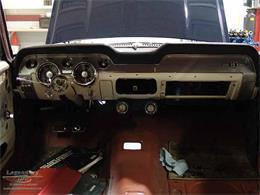 1967 Ford Mustang Shelby GT500 (CC-2075481) for sale in Halton Hills, Ontario