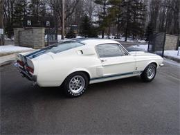 1967 Ford Mustang Shelby GT500 (CC-2075482) for sale in Halton Hills, Ontario