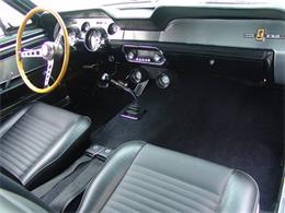 1967 Ford Mustang Shelby GT500 (CC-2075482) for sale in Halton Hills, Ontario