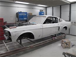 1967 Ford Mustang Shelby GT500 (CC-2075483) for sale in Halton Hills, Ontario