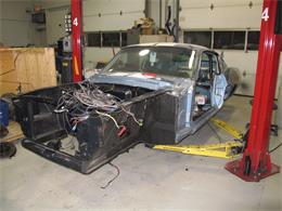 1967 Ford Mustang Shelby GT500 (CC-2075483) for sale in Halton Hills, Ontario