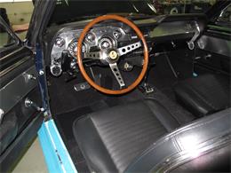 1967 Ford Mustang Shelby GT500 (CC-2075484) for sale in Halton Hills, Ontario