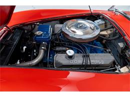 1967 Shelby Cobra (CC-2075499) for sale in Halton Hills, Ontario